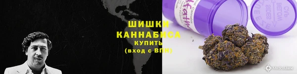 прущие грибы Покровск