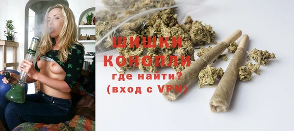 прущие грибы Покровск