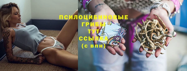 прущие грибы Покровск